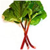 Rhubarb